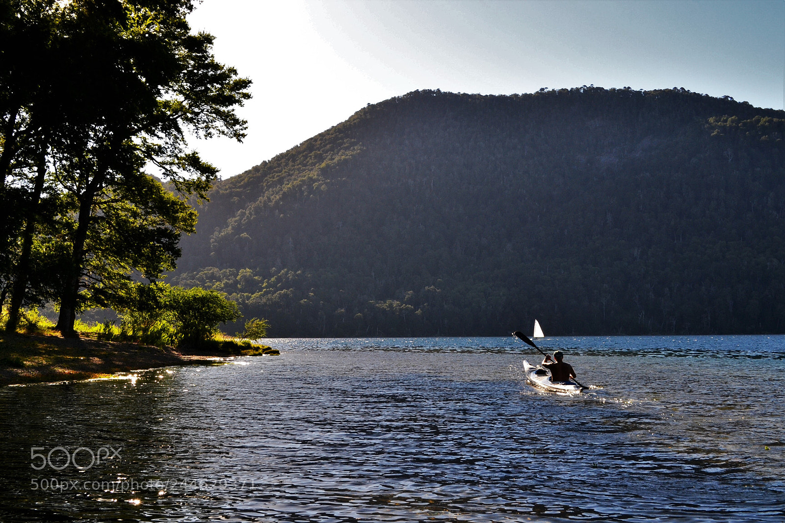 Nikon D3100 sample photo. Synchronicity photography