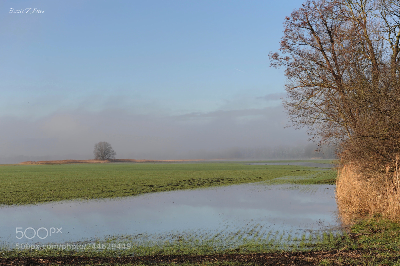 Nikon D3 sample photo. Winter floods photography