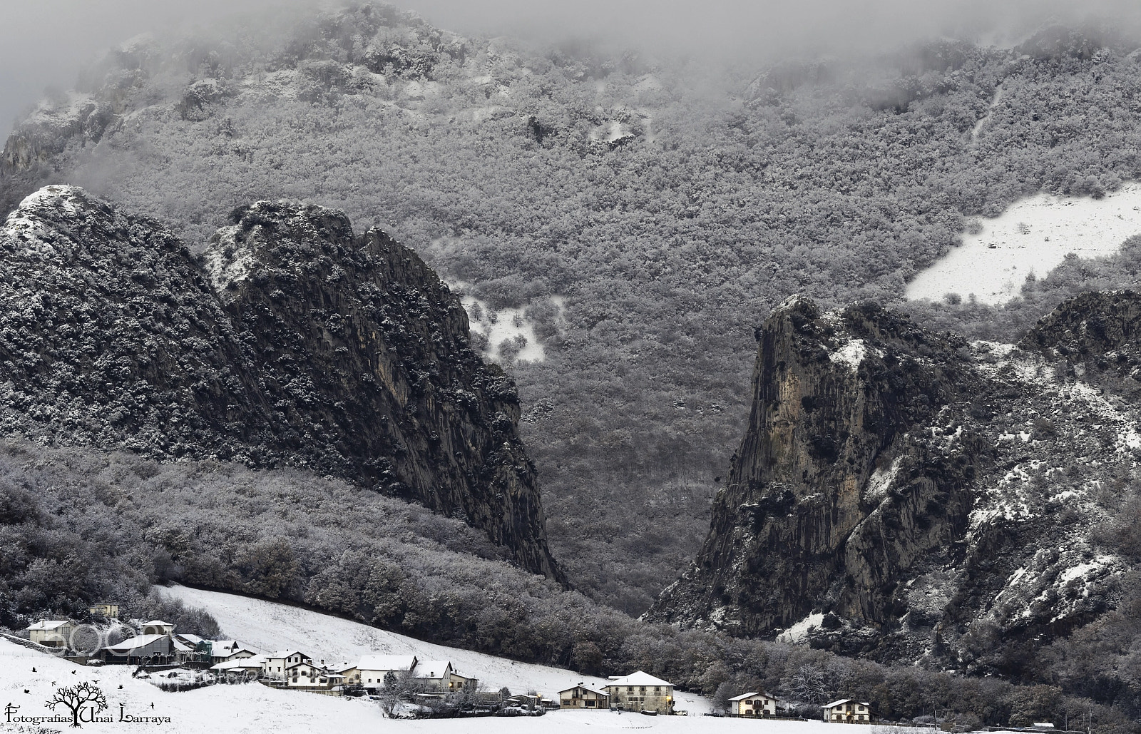 Canon EOS 7D Mark II sample photo. Ambiente invernal en las photography