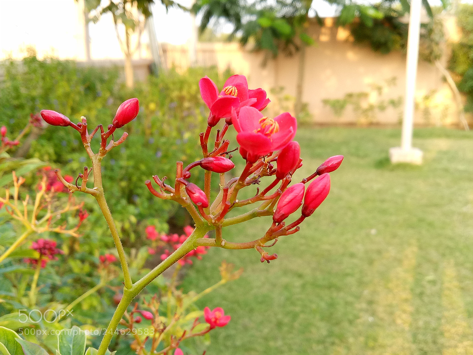 OPPO A1601 sample photo. Untitled photography