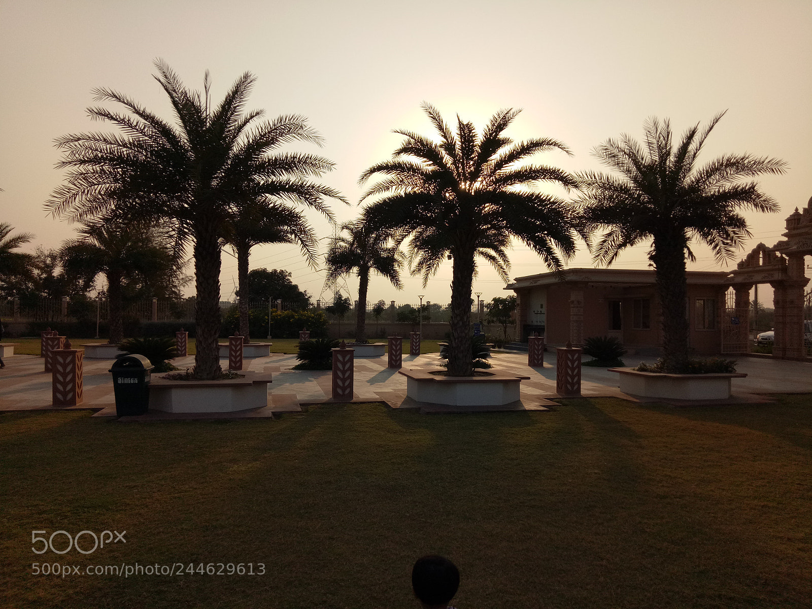 OPPO A1601 sample photo. Untitled photography