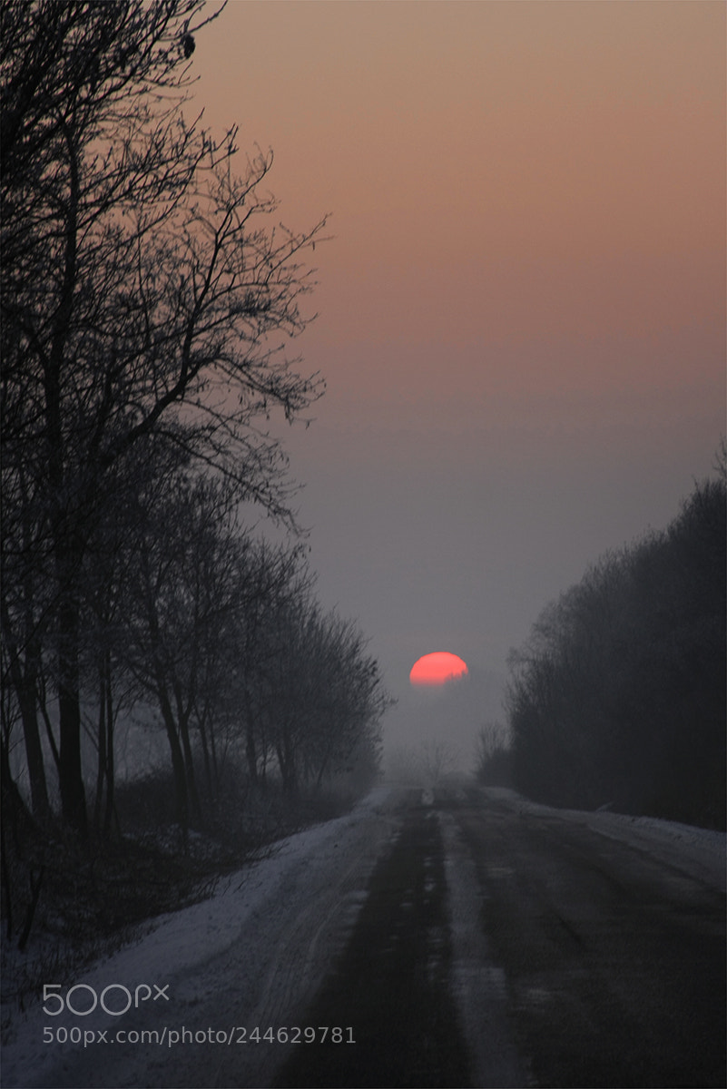 Canon EOS 40D sample photo. On the road of photography