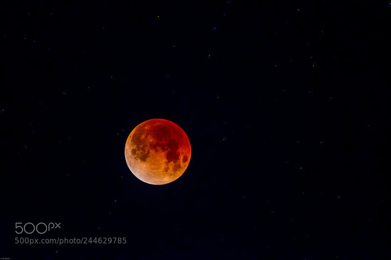 Nikon D500 sample photo. Lunareclipse01312018-highlanddotphotos.jpg photography