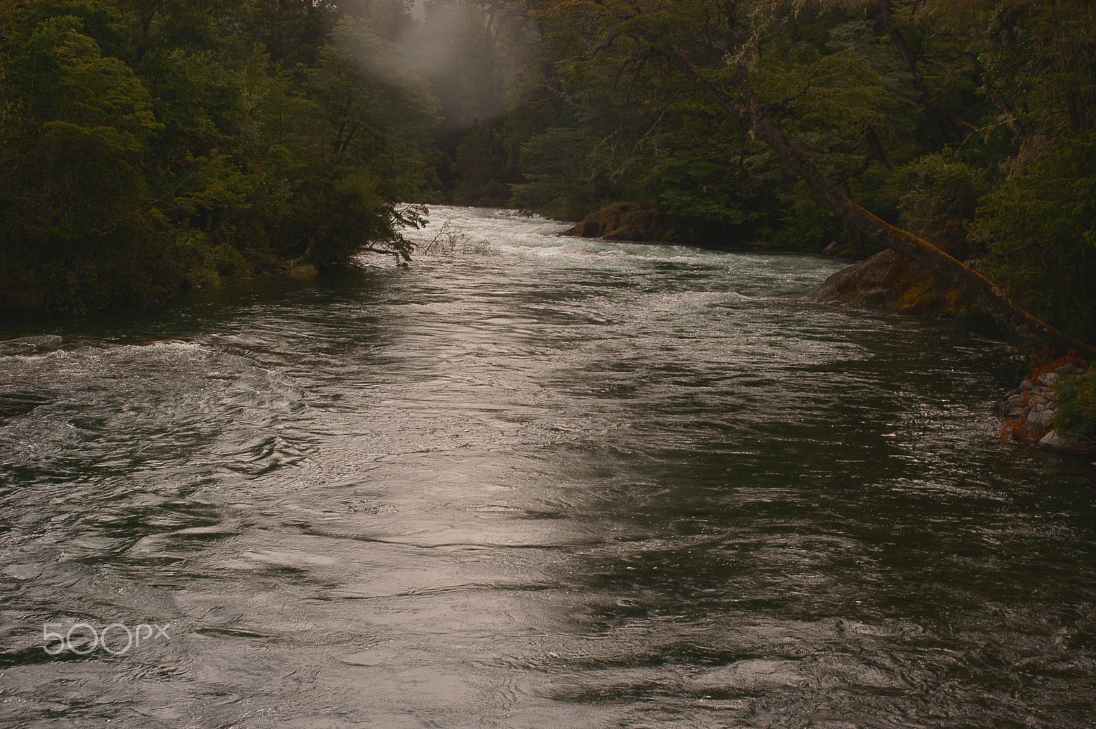 Nikon D100 sample photo. Río chachín photography