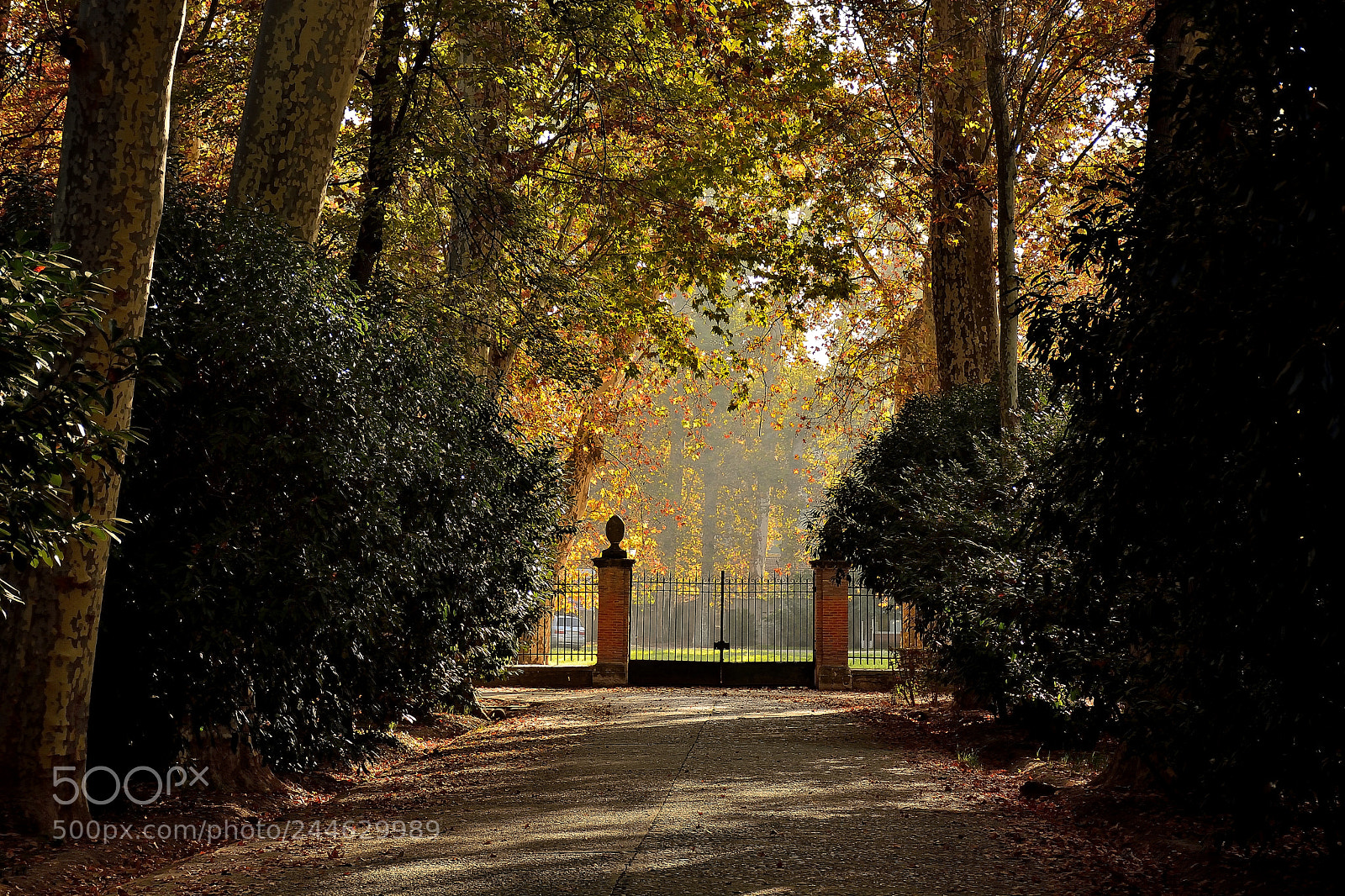 Nikon D7100 sample photo. Jardines del principe, aranjuez photography