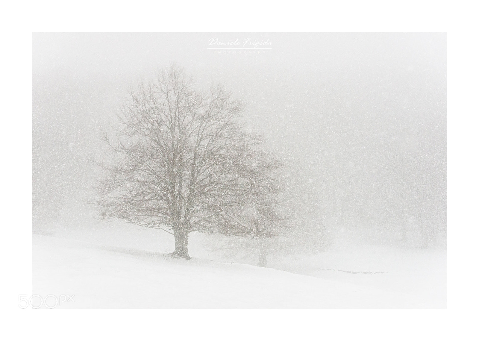 Nikon D610 sample photo. Snowfall #2 photography