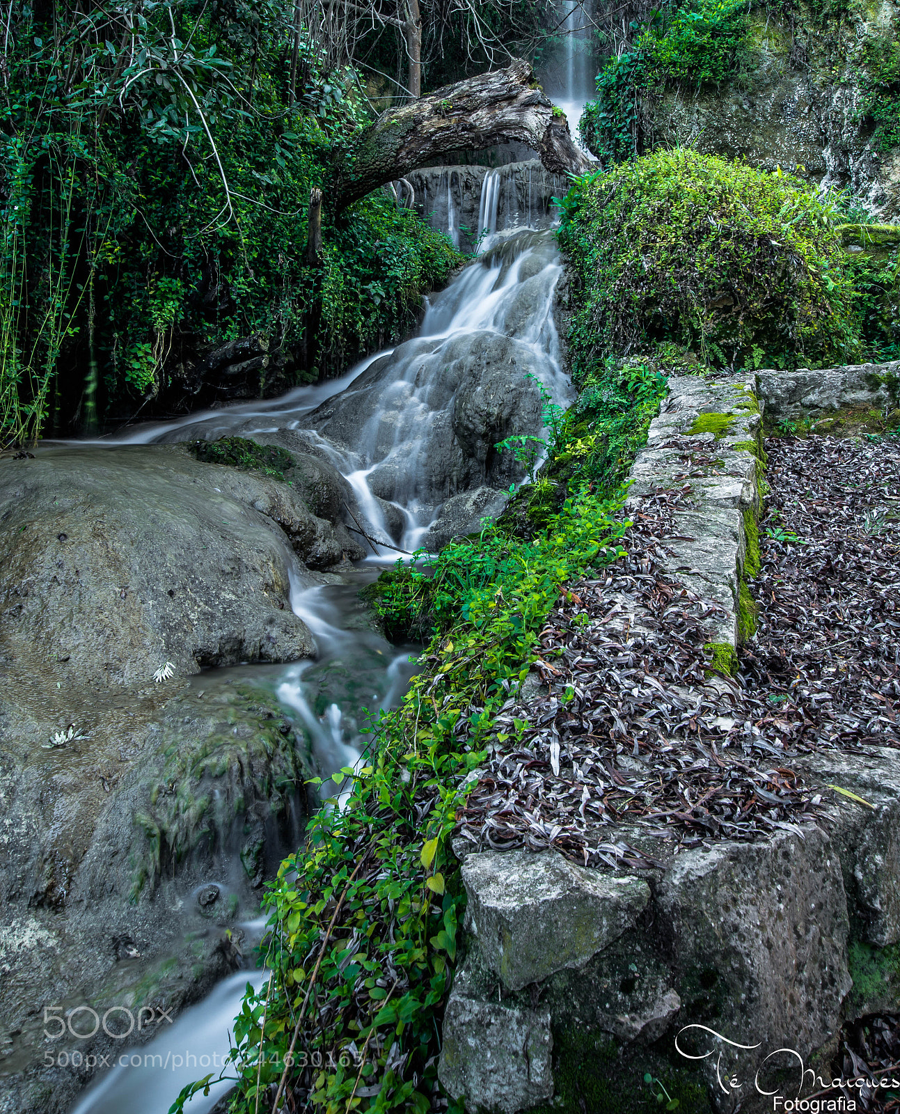 Nikon D7200 sample photo. Pure & fresh photography