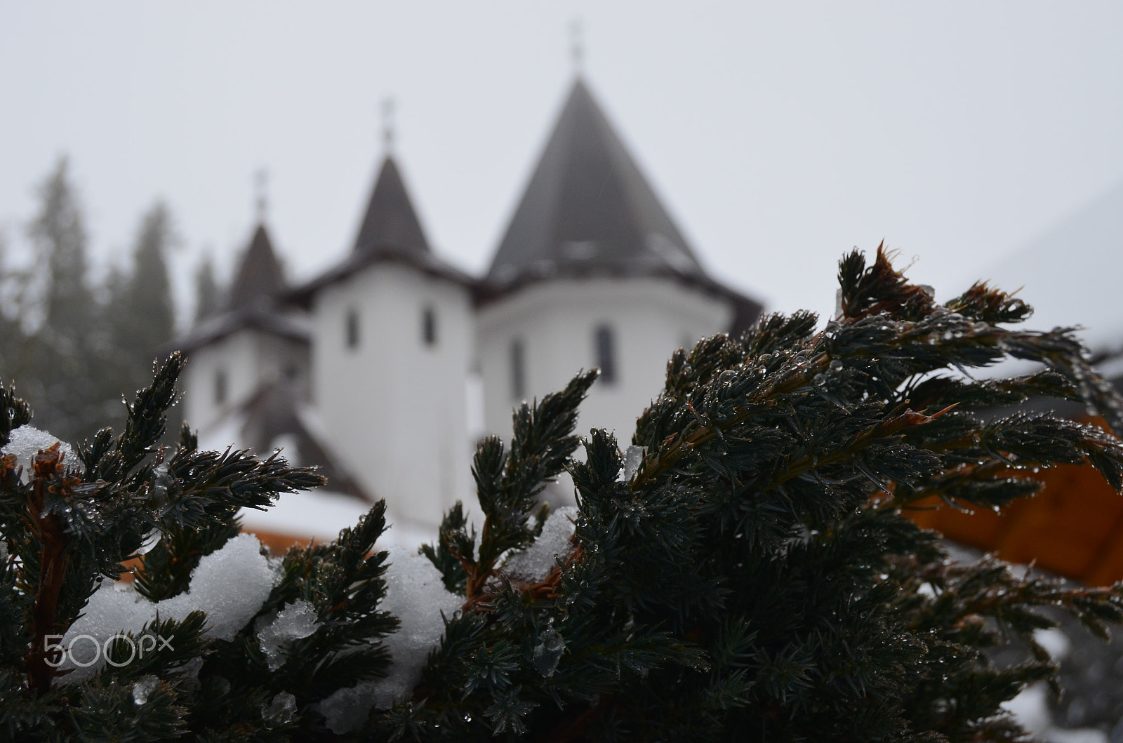 Nikon D5100 sample photo. Paltinis hermitage photography
