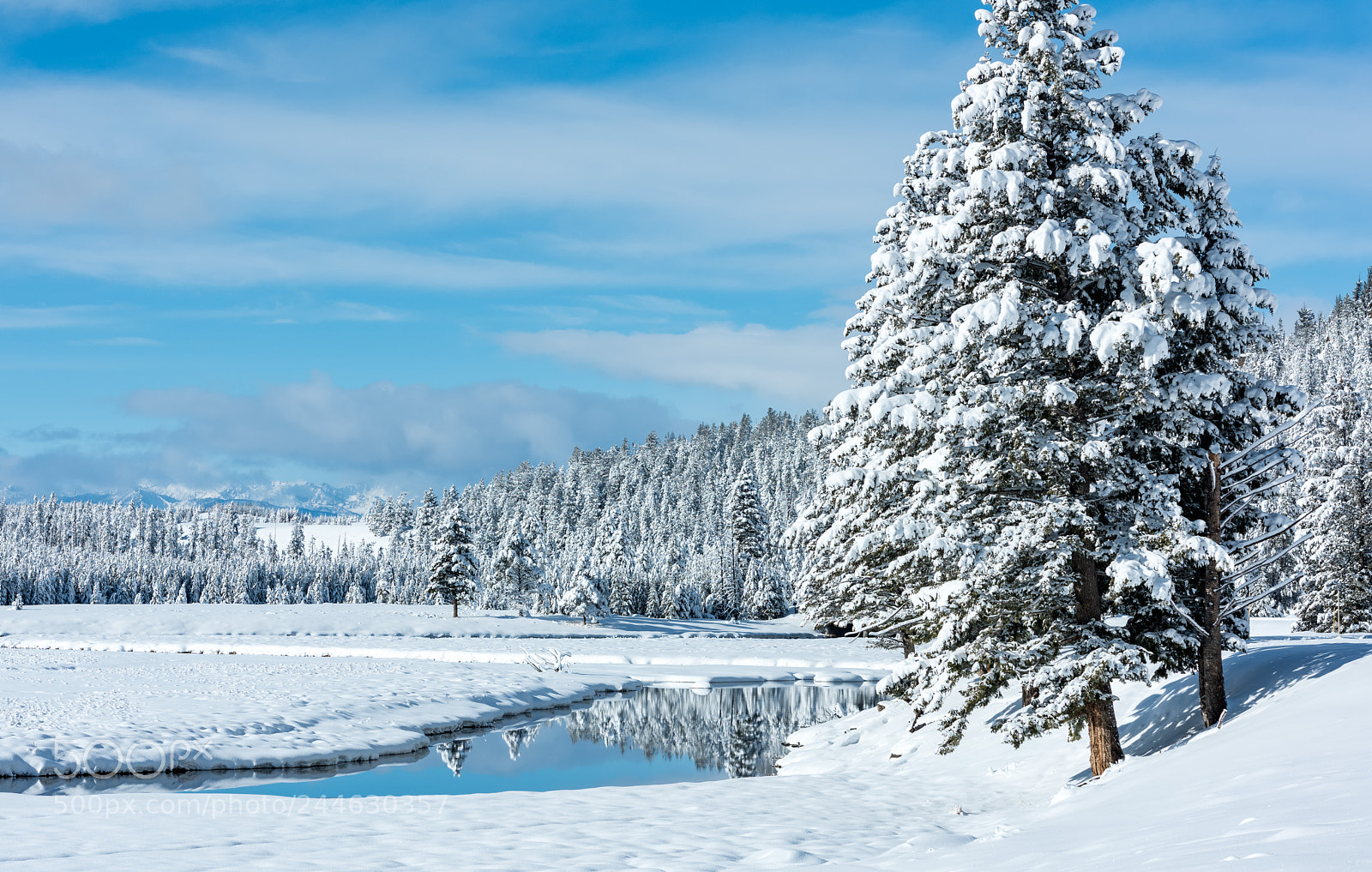 Nikon D810 sample photo. Winter wonderland photography