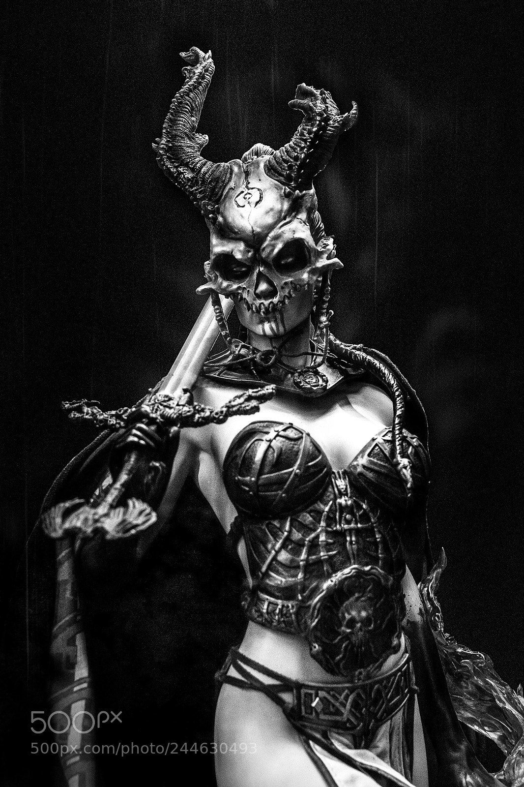 Nikon D7100 sample photo. Kier valkyrie of the photography