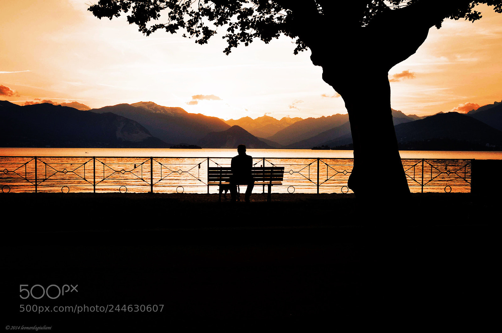 Nikon D300S sample photo. Solitudine.... photography