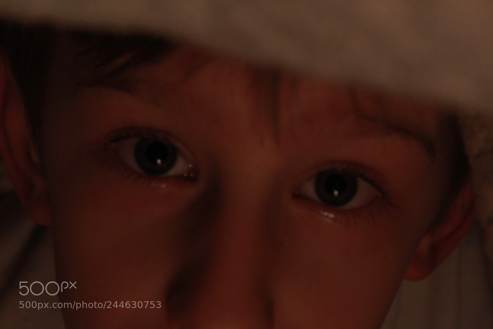 Canon EF-S 18-55mm F3.5-5.6 III sample photo. His eyes.... photography