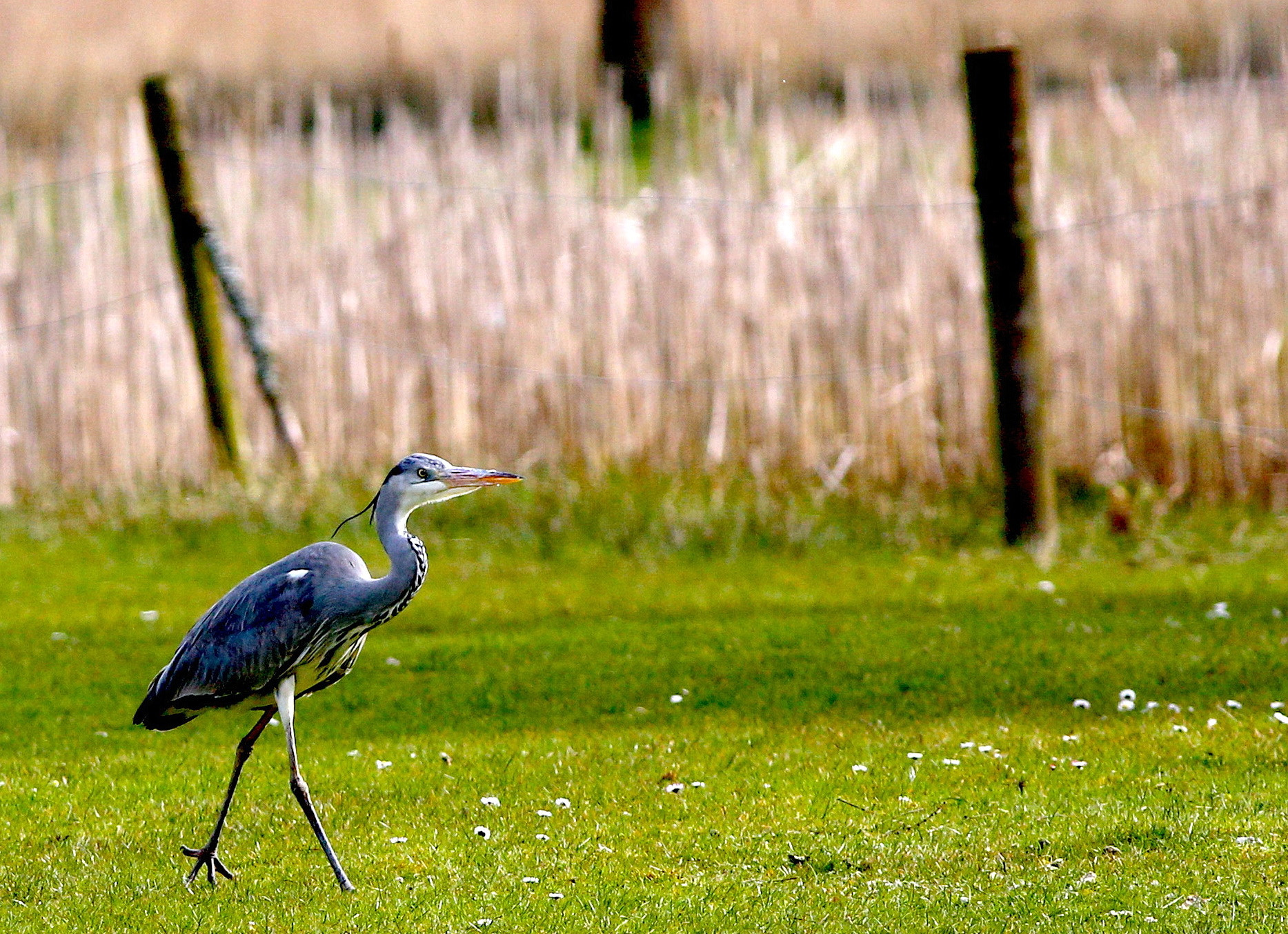 Canon EOS 6D + Canon EF 400mm F5.6L USM sample photo. No fish today photography