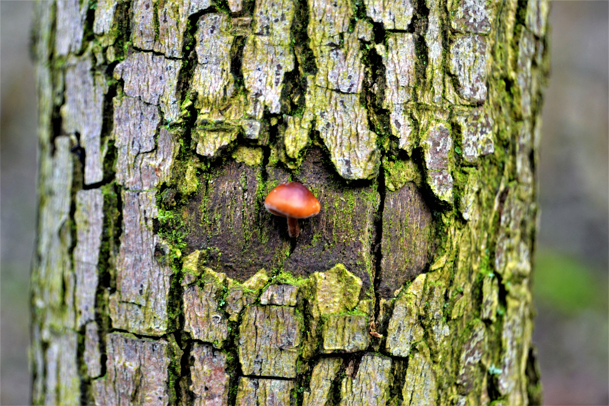 Nikon D3100 sample photo. A new resident photography