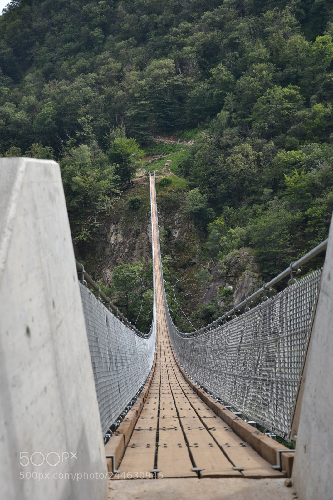 Nikon D3100 sample photo. Picture photography