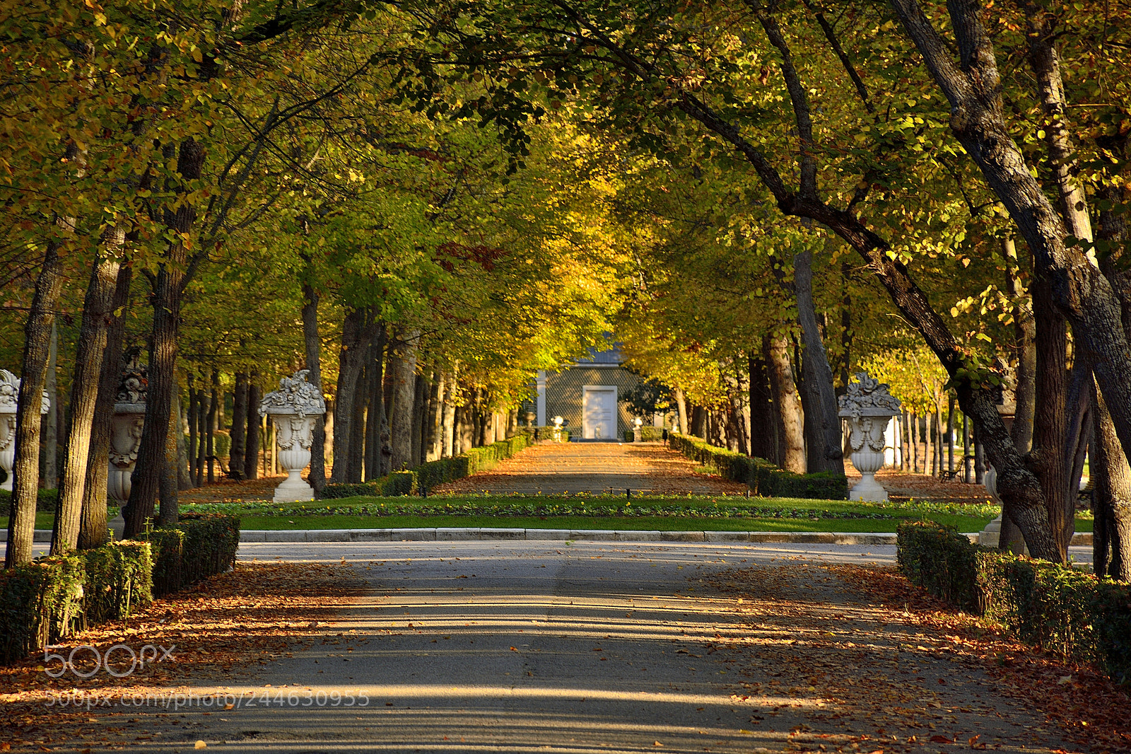 Nikon D7100 sample photo. Jardines del principe, aranjuez photography