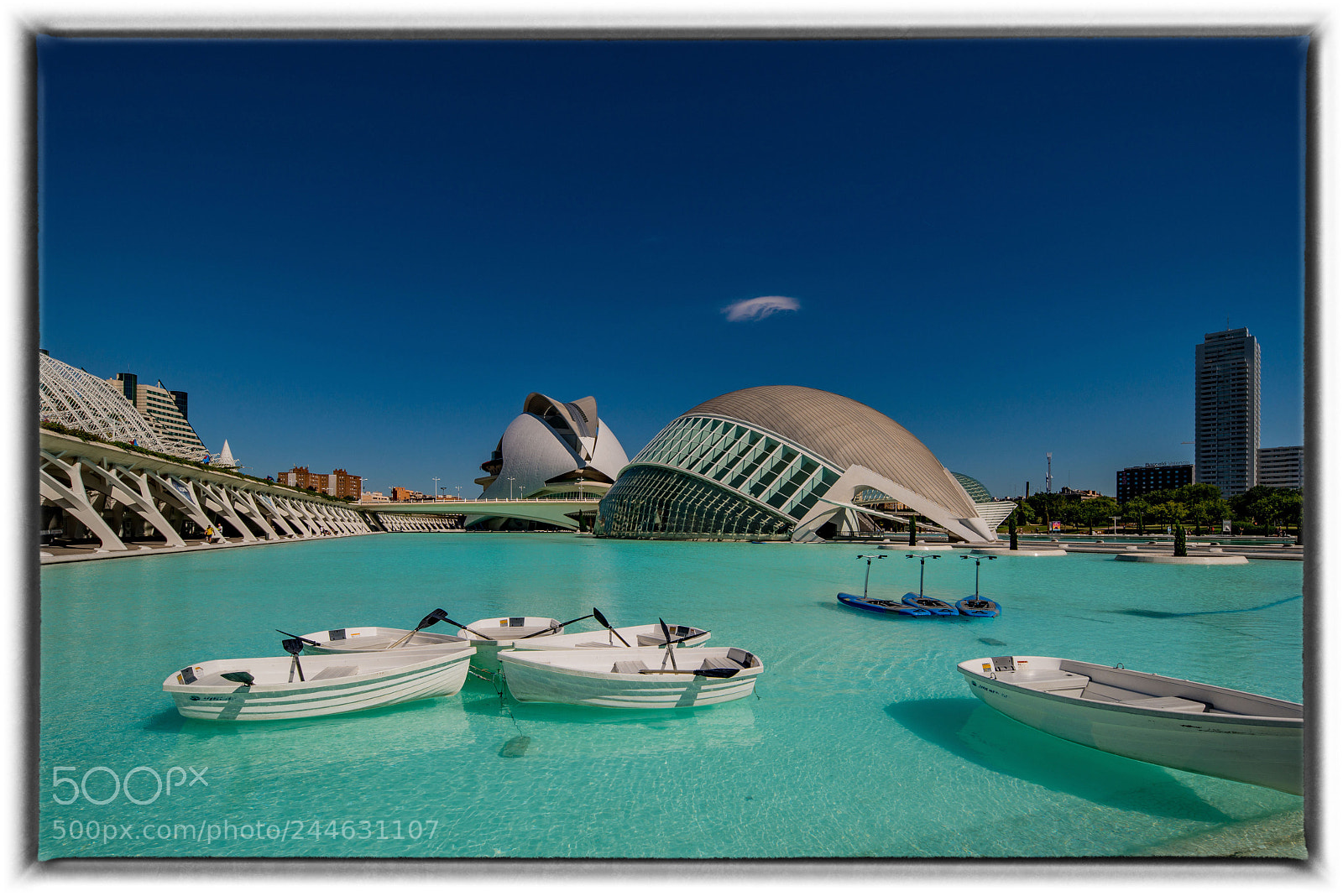 Nikon D800E sample photo. Valencia ciutat des arts photography