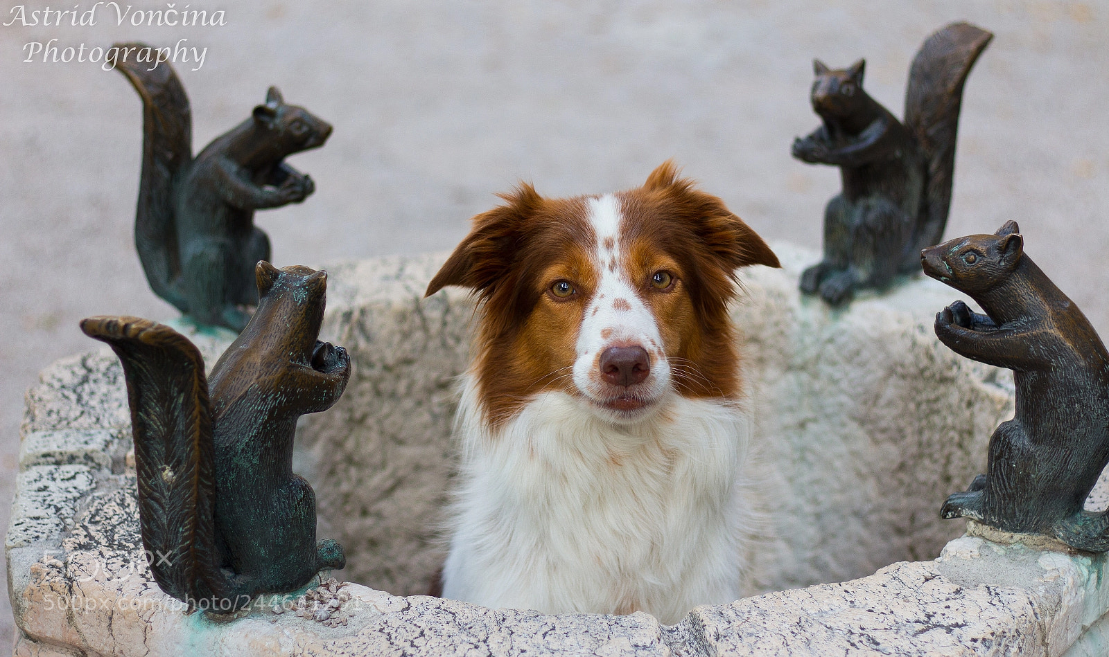 Canon EOS 650D (EOS Rebel T4i / EOS Kiss X6i) sample photo. Praying to magic photography