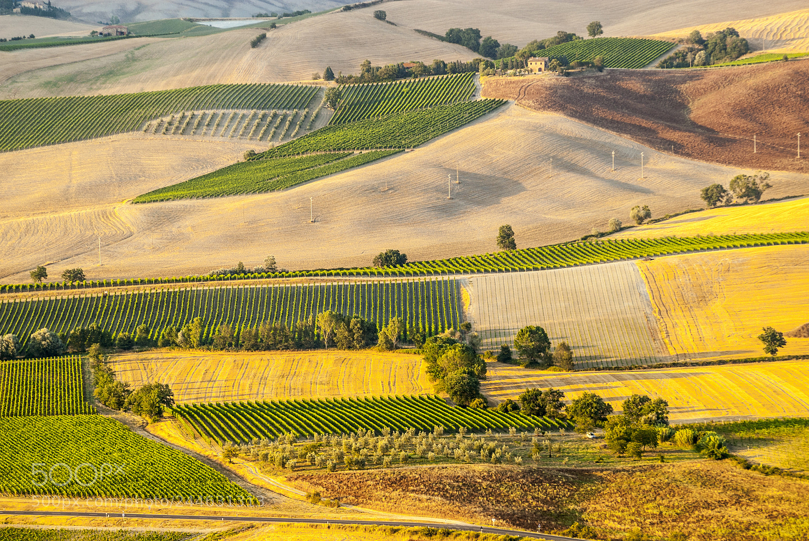Nikon D200 sample photo. Montalcino (tuscany) photography