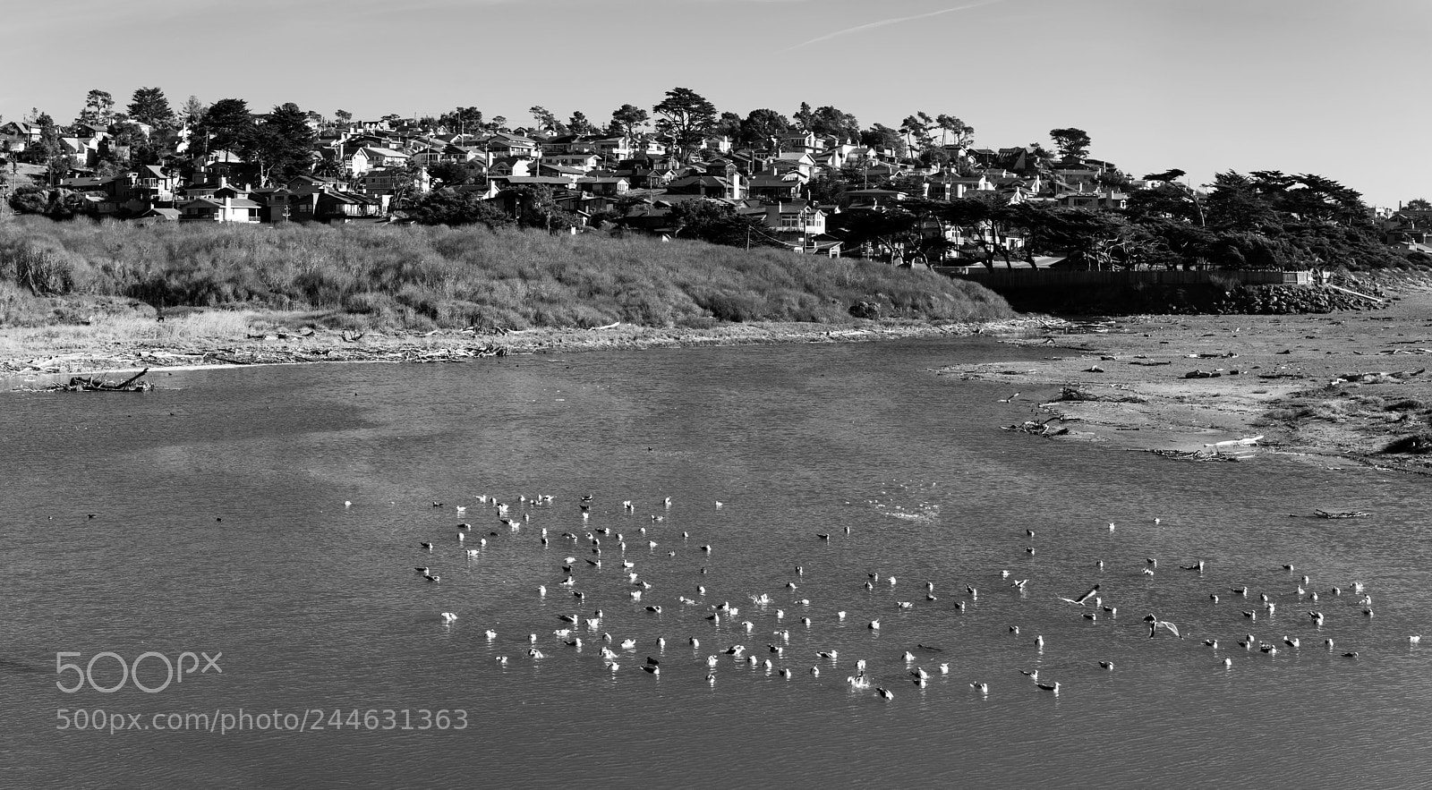 Sony a7R II sample photo. Cambria california photography