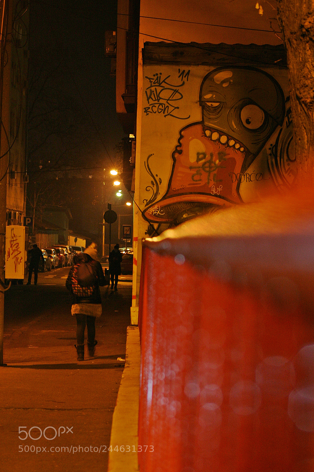 Canon EOS 10D sample photo. Night walk photography