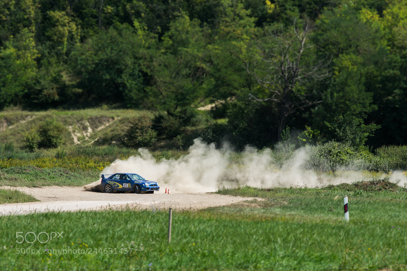 Nikon D7100 sample photo. Nik photography