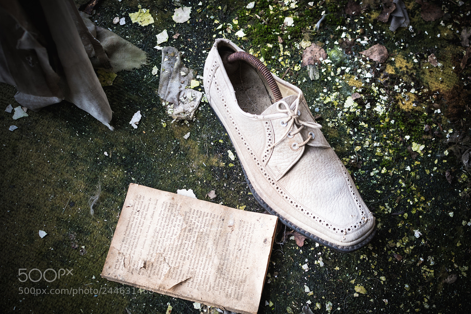 Nikon D500 sample photo. Lost shoes photography