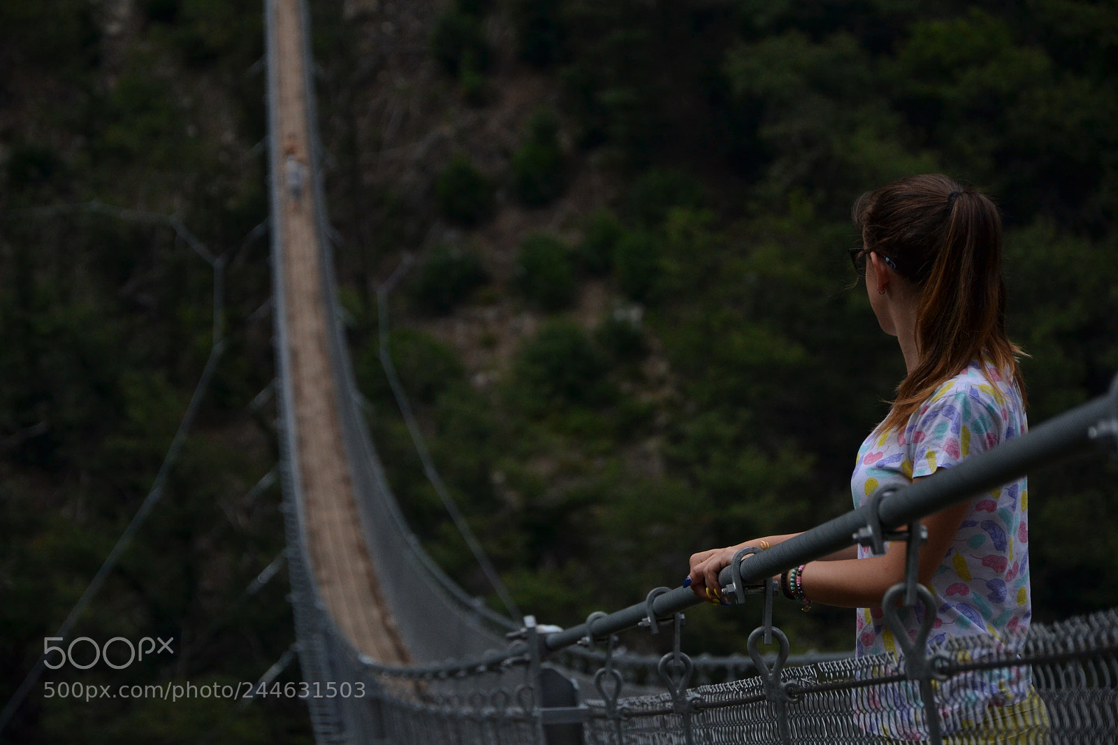 Nikon D3100 sample photo. Picture photography