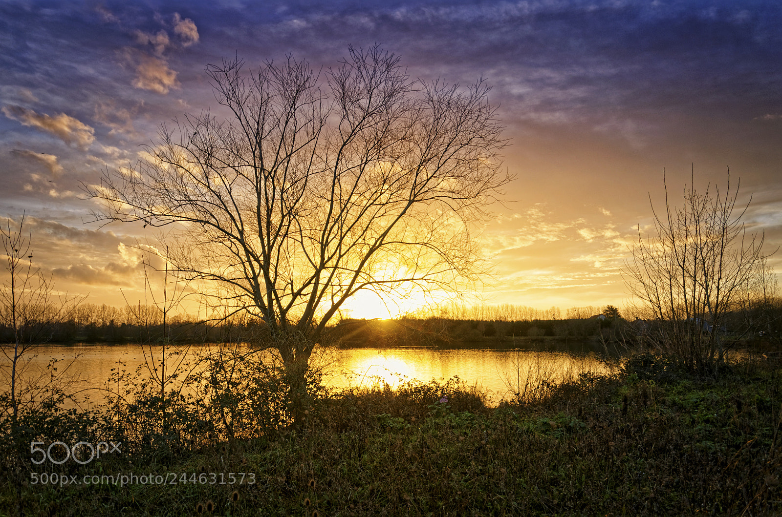 Nikon D5100 sample photo. Winter sunset photography
