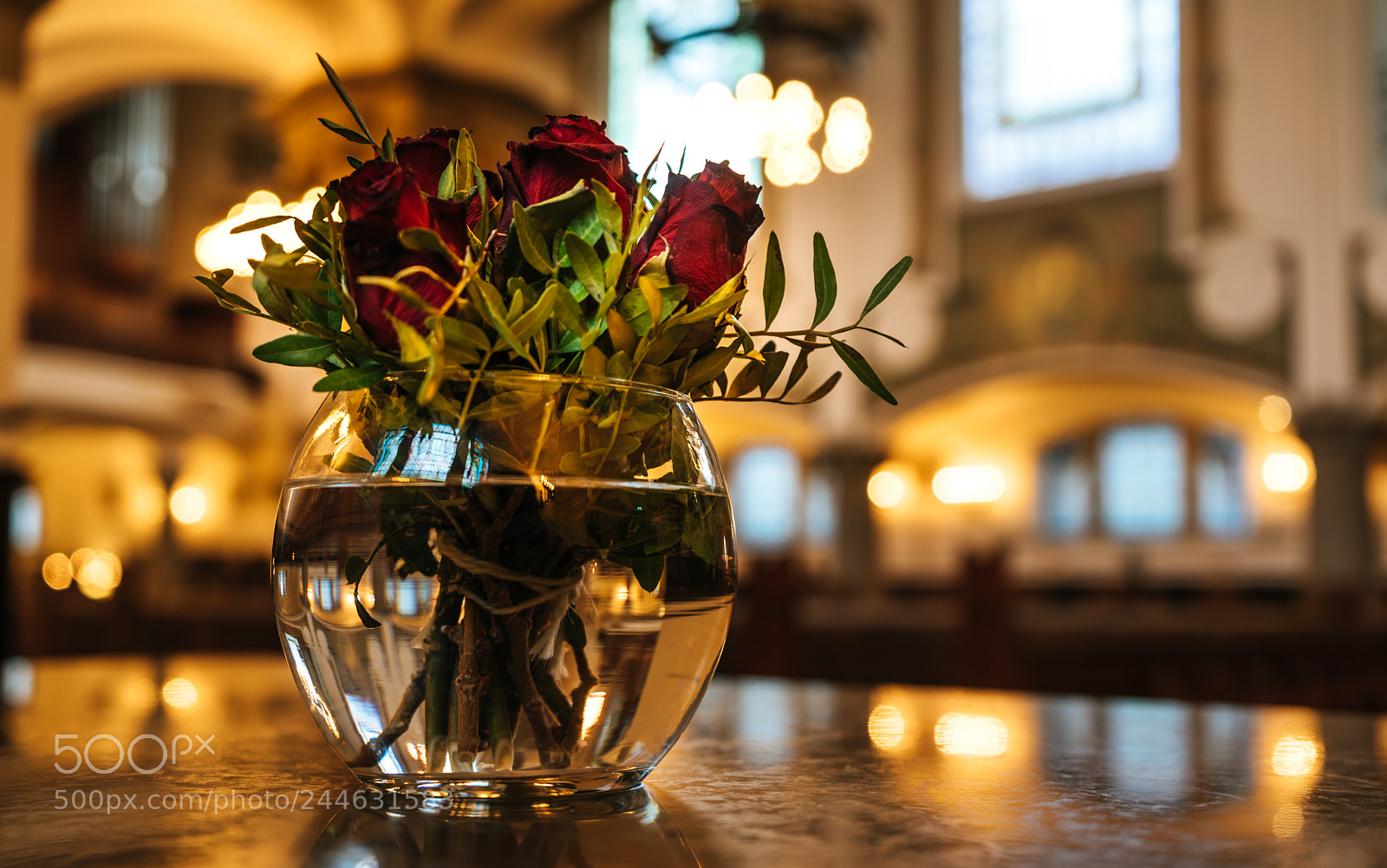 Sony a7R sample photo. Red roses photography