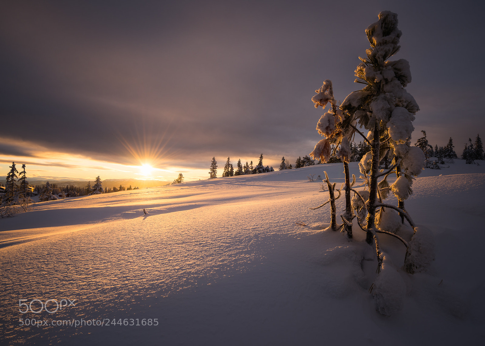 Nikon D810 sample photo. Morning sun photography