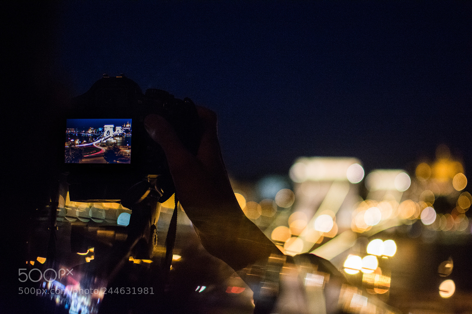 Nikon D7100 sample photo. Nik photography