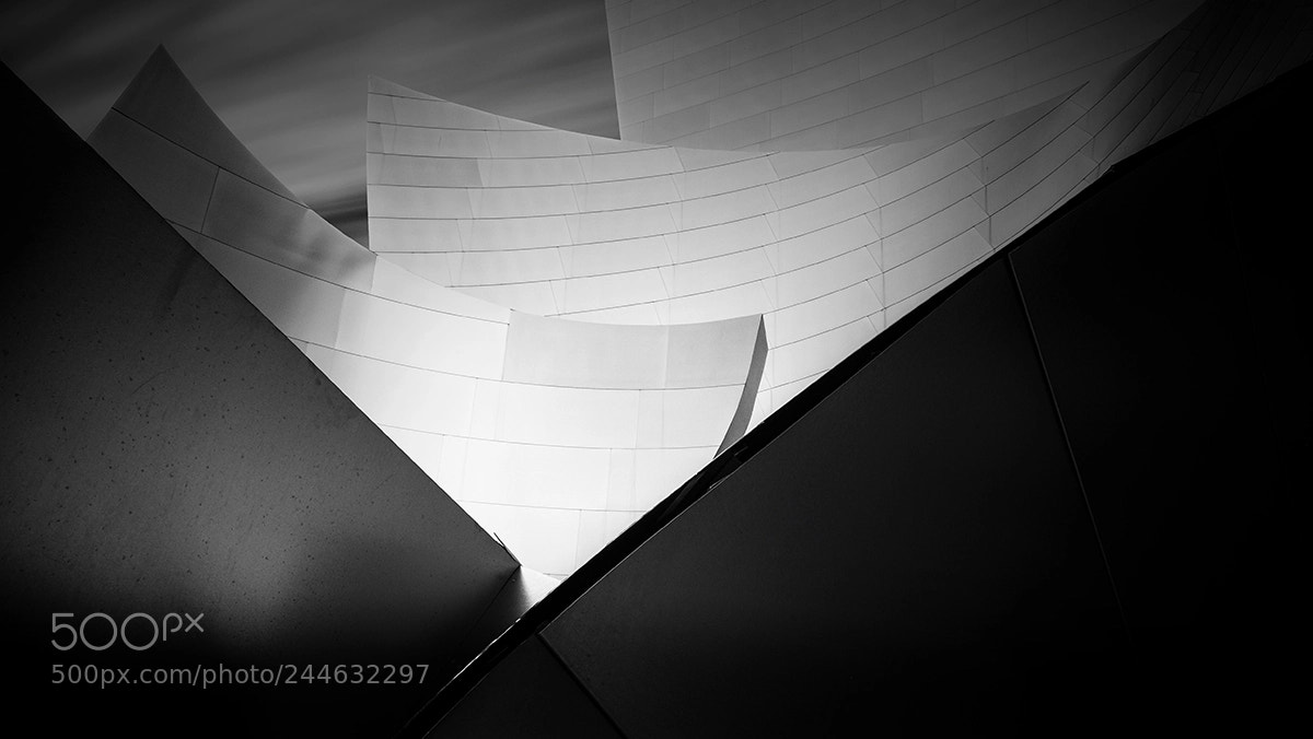 Fujifilm X-T1 sample photo. Dis wings web photography