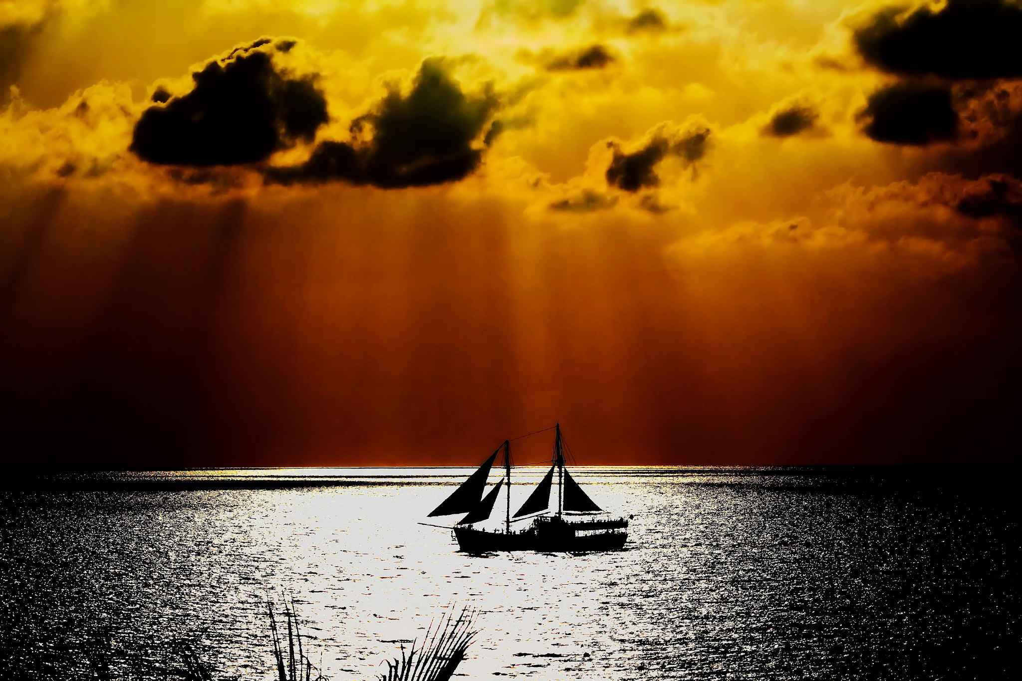 Canon EOS sample photo. Under the sunny rain photography