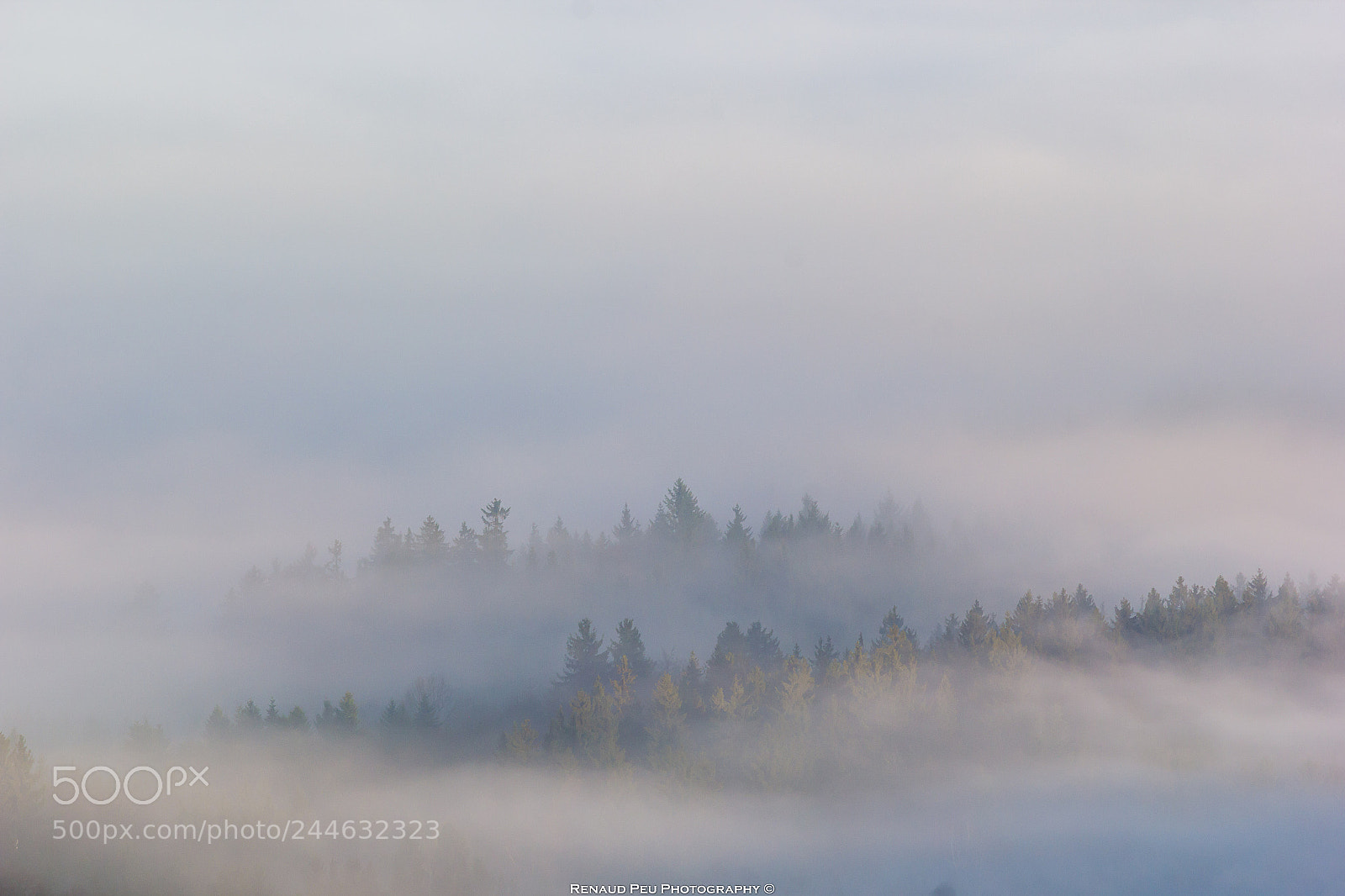 Canon EOS 60D sample photo. Magic fog of taunus photography