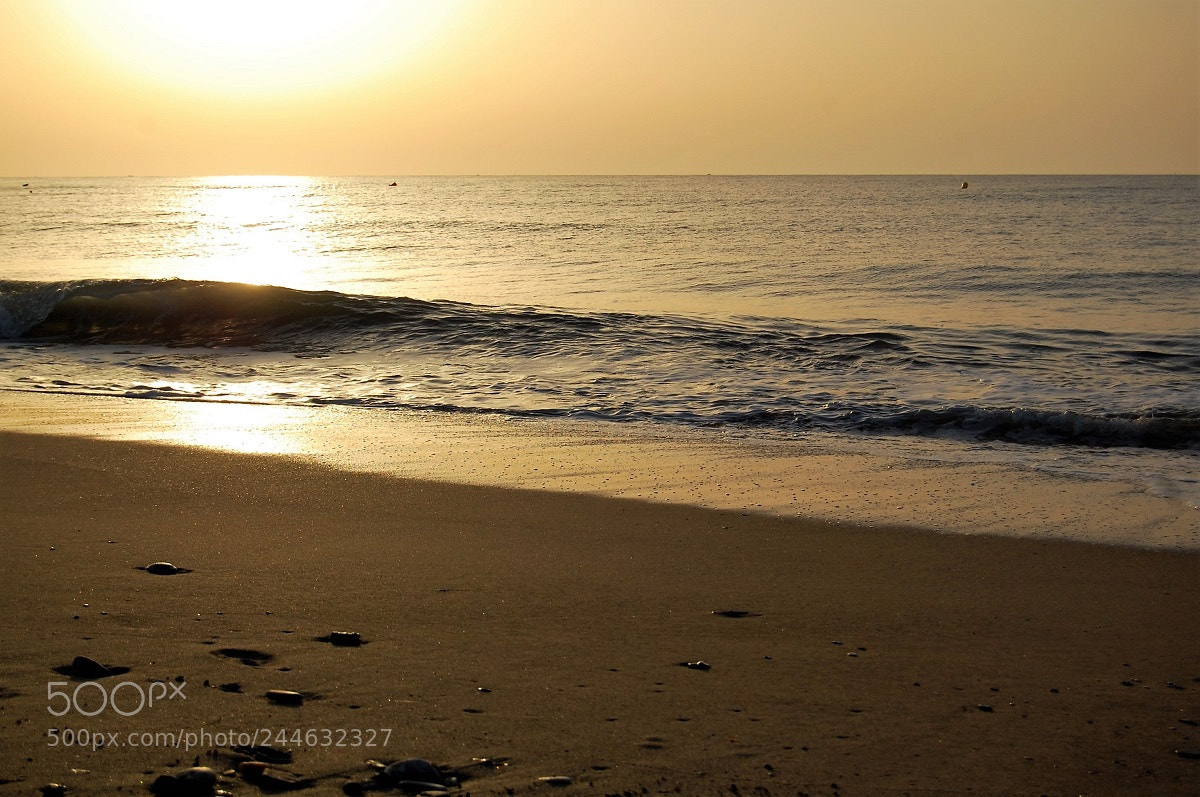 Nikon D40 sample photo. Daybreak  ii photography