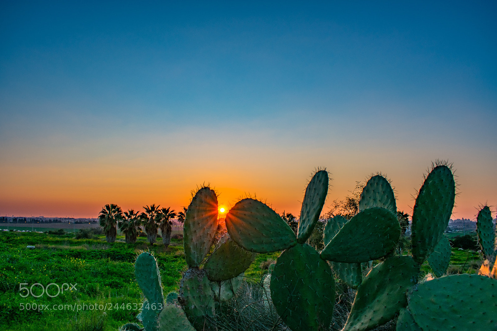 Nikon D3400 sample photo. Sunset rosh haain view photography