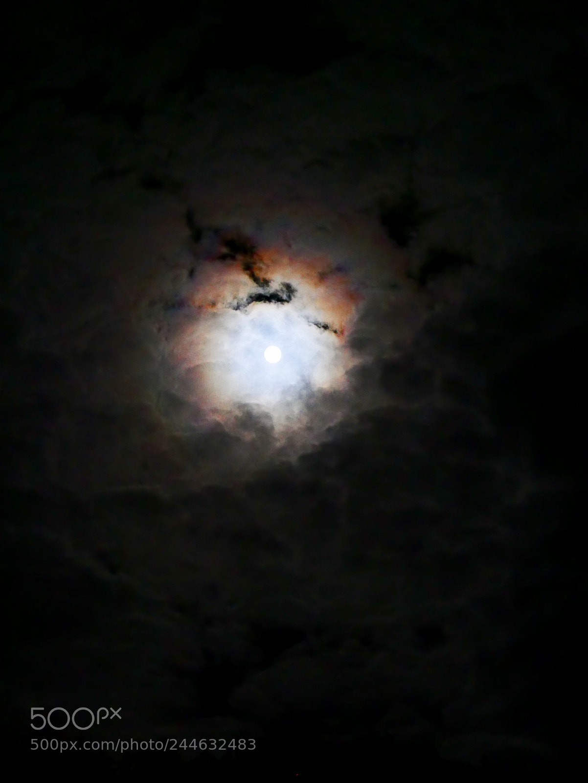 Panasonic Lumix DMC-LX100 sample photo. Last night photography