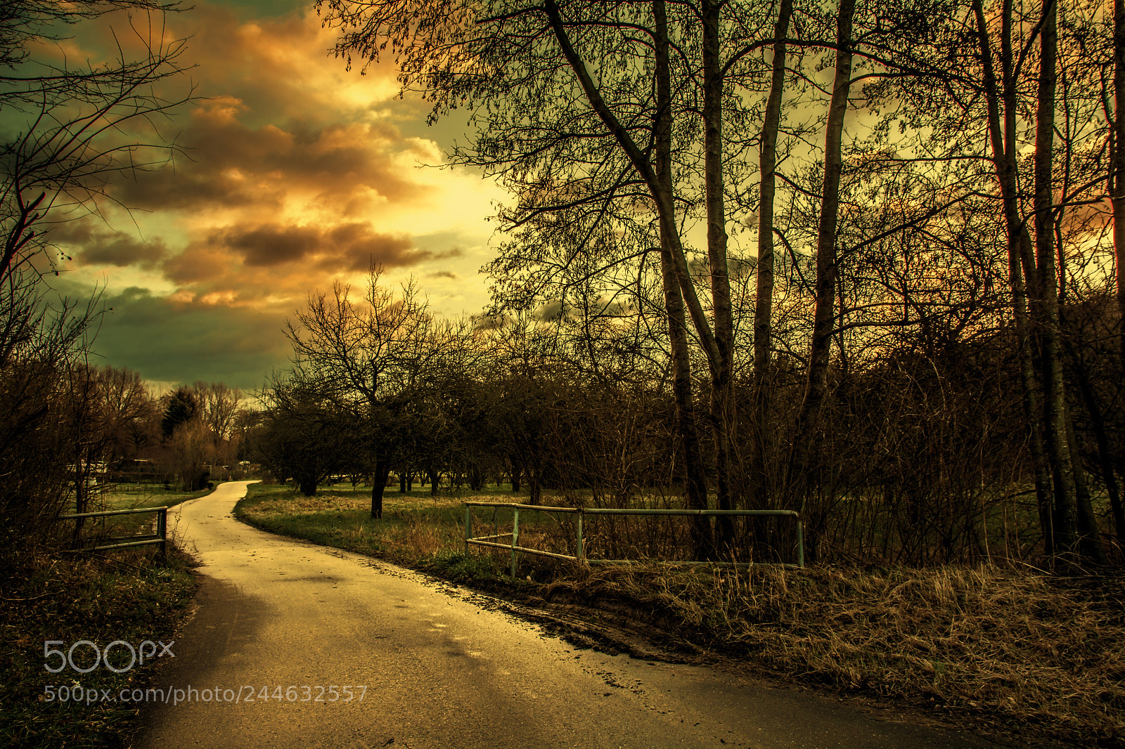 Nikon D7100 sample photo. Walk this way photography