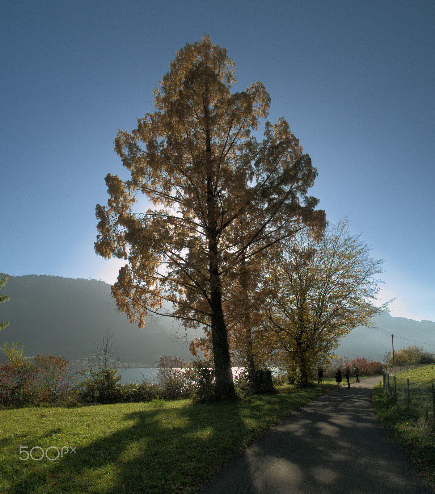 Nikon D300 sample photo. Autumn photography