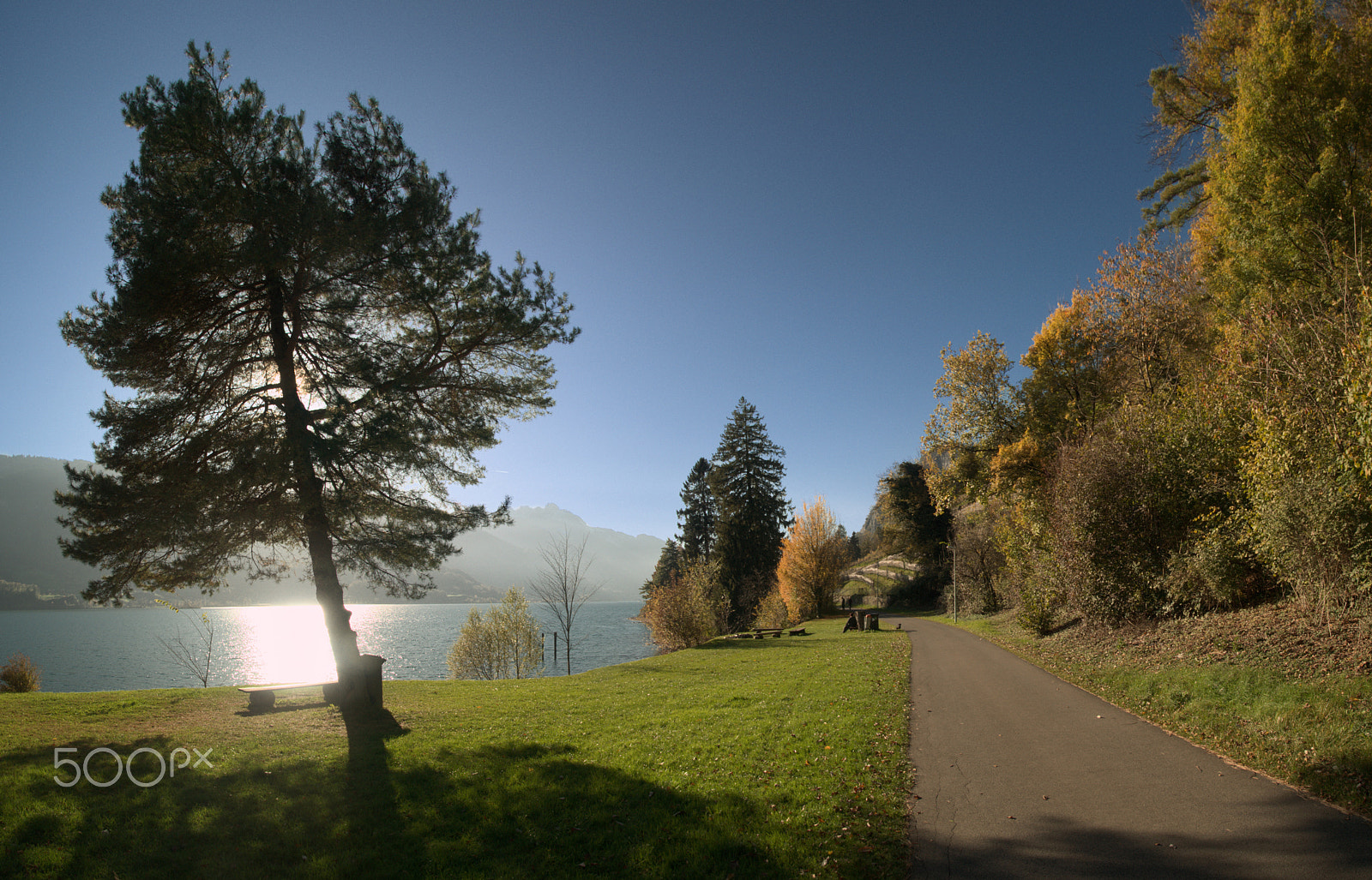 Nikon D300 sample photo. Walensee autumn photography