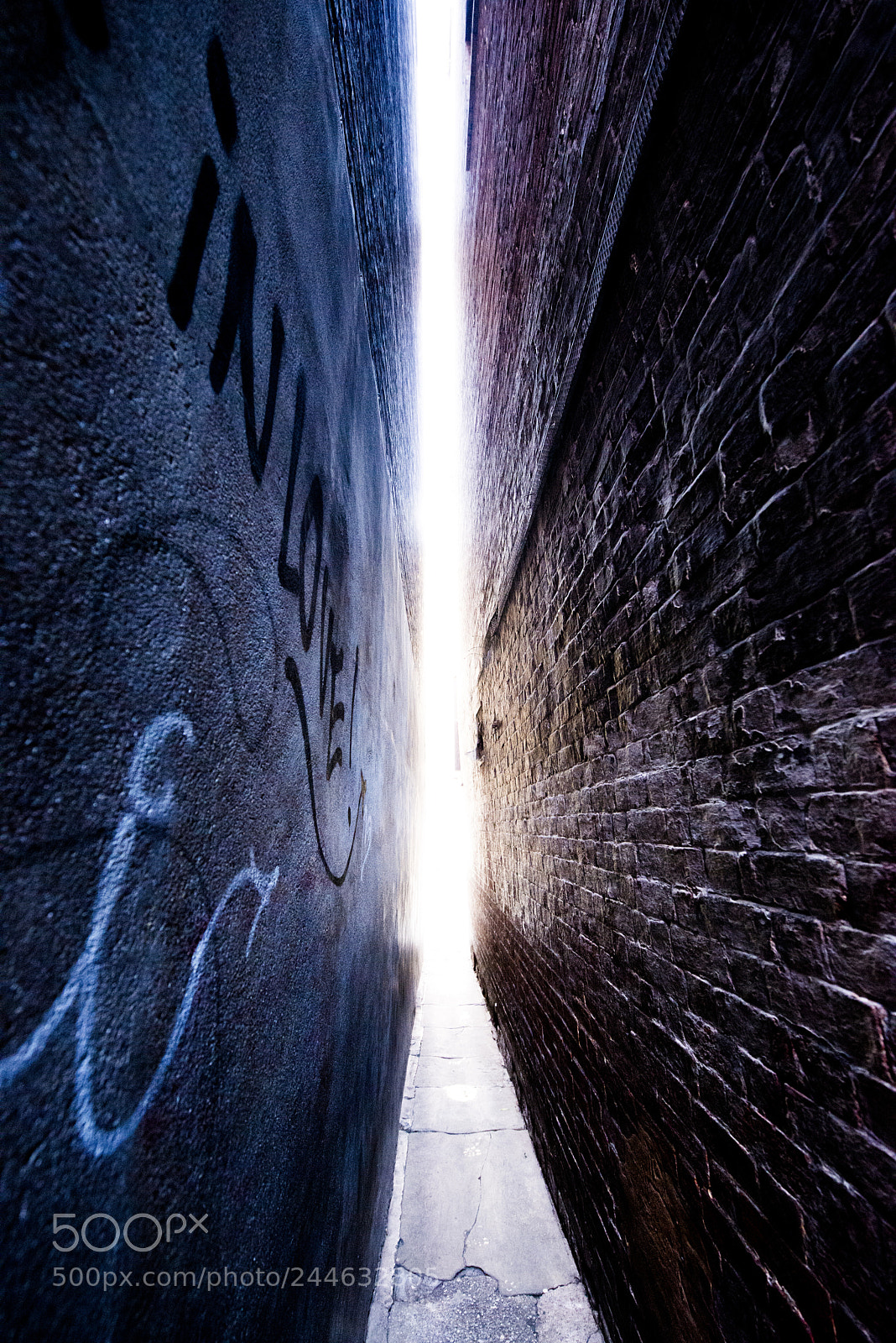 Nikon D800 sample photo. Tiny street photography