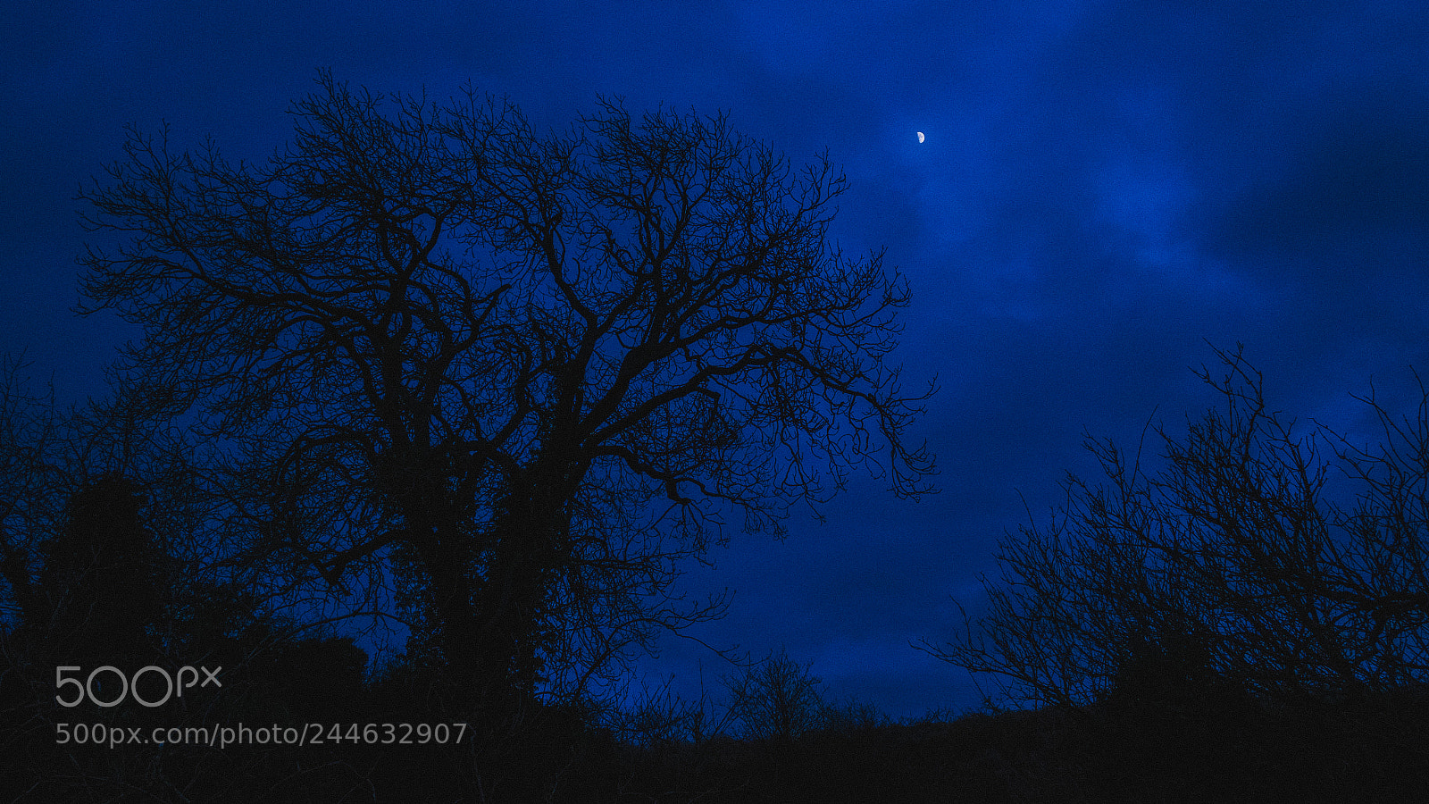 Fujifilm X-E2 sample photo. Mesmerising earth photography