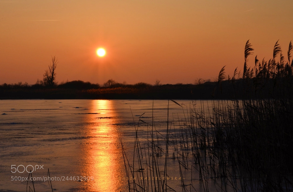 Nikon D5100 sample photo. Sunset photography