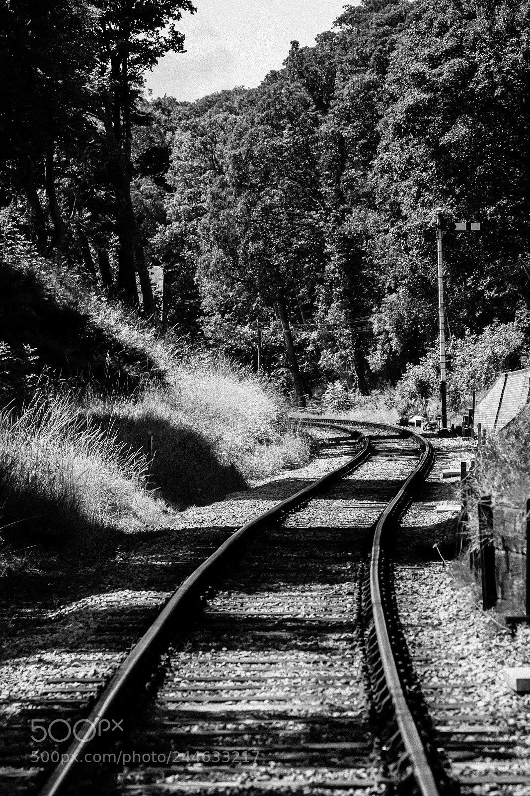 Canon EOS 50D sample photo. To whence we journey photography