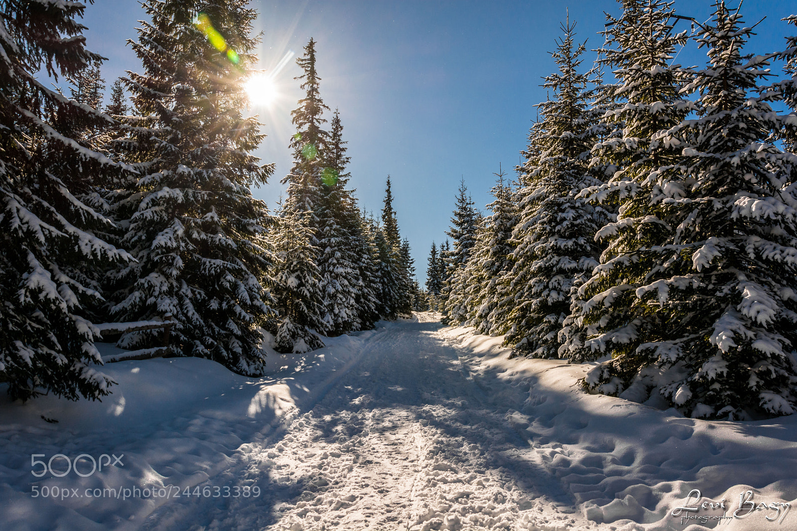 Nikon D7100 sample photo. Snowy road photography