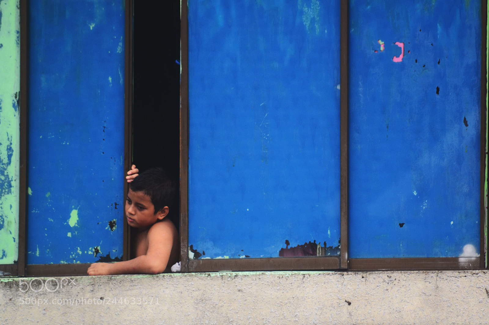 Nikon D3100 sample photo. Staring at the window photography