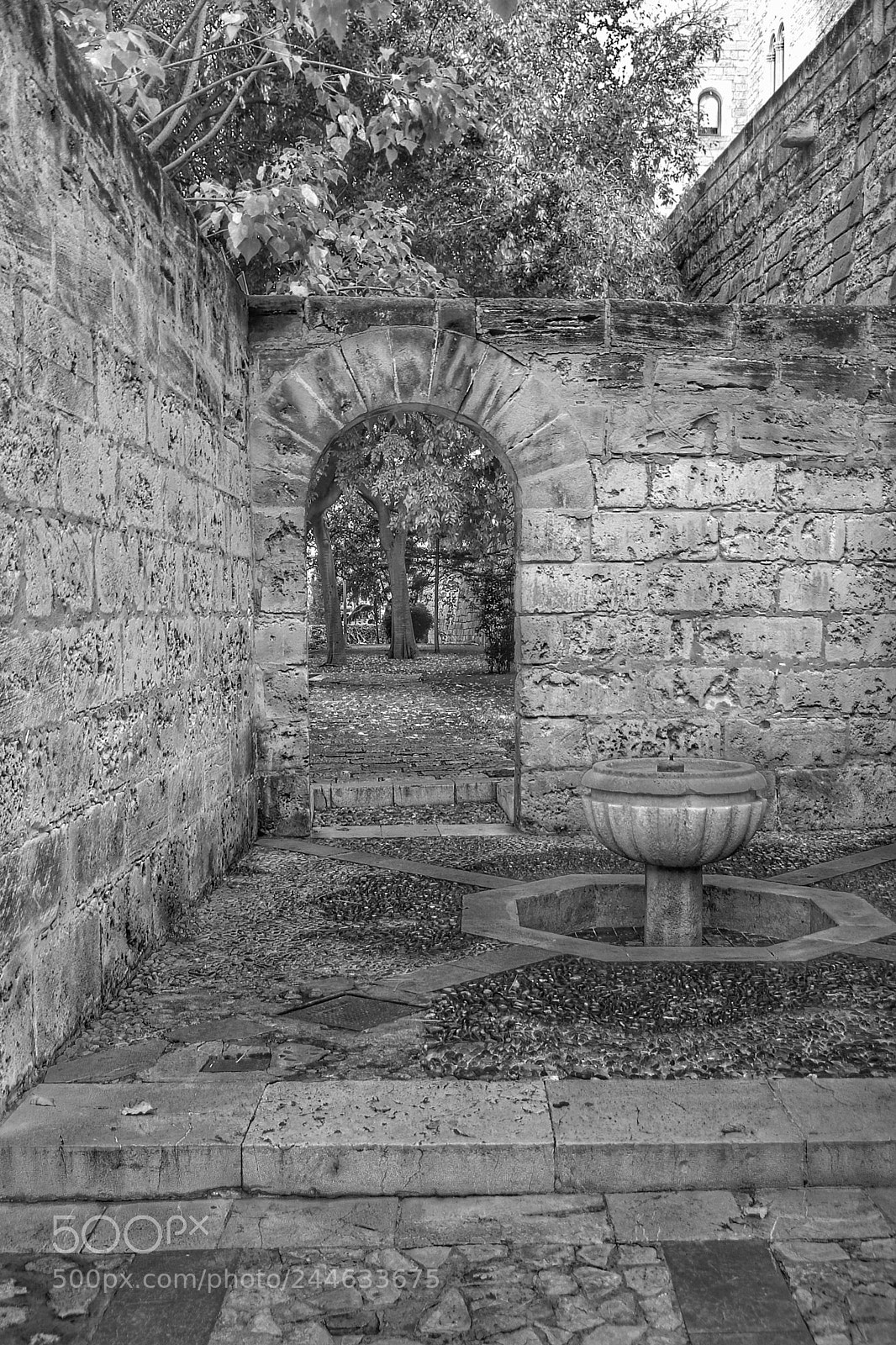 Canon EOS 7D Mark II sample photo. Garden of the almudaina photography