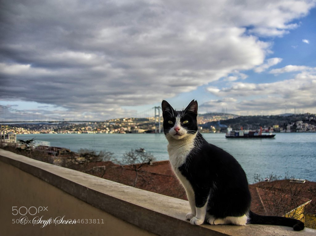 Pentax K-3 sample photo. Besiktas yahya efendi dergah photography