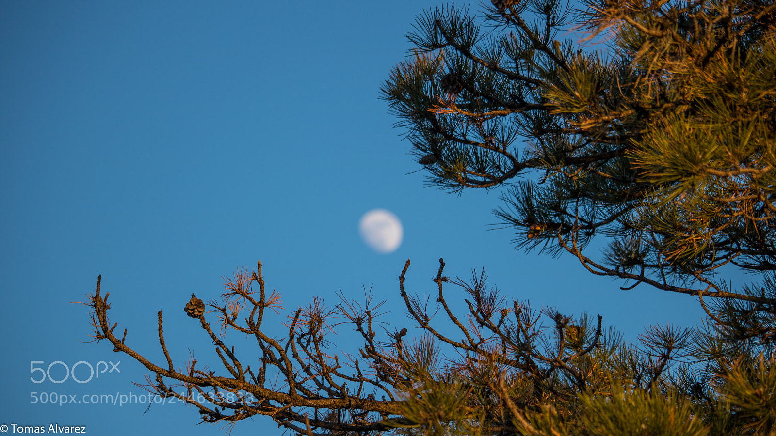 Canon EOS 750D (EOS Rebel T6i / EOS Kiss X8i) sample photo. You don't belong to photography